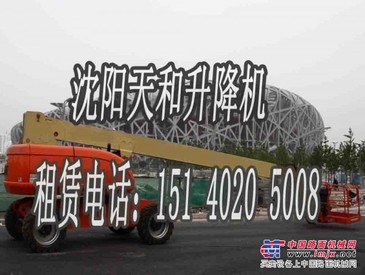 沈阳天和高空车出租 风电设施检修