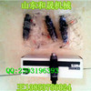 标配-康明斯A2300喷油器4900354喷油器在线