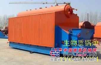 泰安10吨生物质热水锅炉