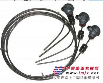 WRE2-131无固定装置热电偶，天康技术精湛，价格公道