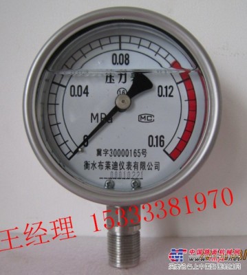 优惠的不锈钢耐震压力表，价位合理的不锈钢耐震压力表在衡水哪里可以买到