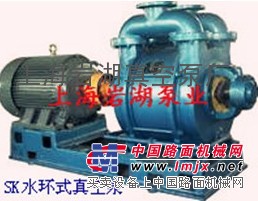 供应SK型悬臂式真空泵系列