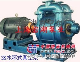 供应SK型悬臂式真空泵系列