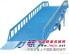 供应移动式登车桥/固定式登车桥/登车桥/长沙锐力升降机
