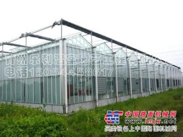 安徽（玻璃板温室建设）河南玻璃板温室建设-青州乐利温室