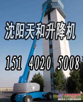 151 4020 5008沈阳天和升降平台出租 悬挂灯笼