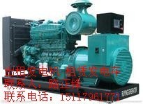 济南济阳县发电机出租 出租发电机 租赁发电机