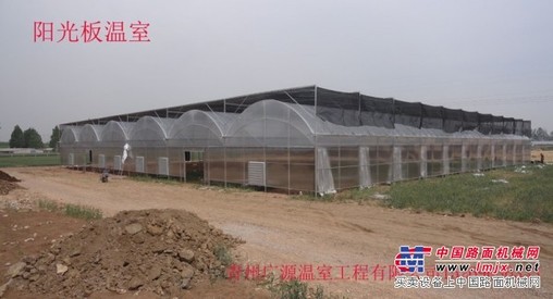 潍坊知名的阳光板温室供应商推荐_现代化温室