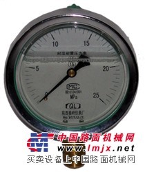西安仪表提供可信赖的不锈钢压力表YTF-100