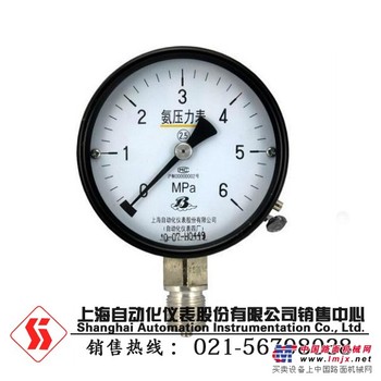 耐用的YA-100氨压力表上海口碑好的公司供应