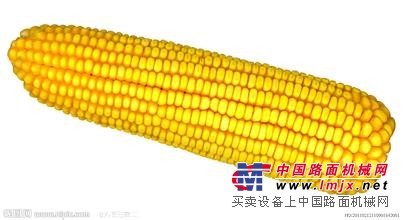 找的玉米收购，就选择东湖农牧发展公司