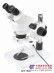 尼科仪器设备公司供应全省实惠的立体显微镜_福建显微镜代理