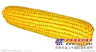 找良好的玉米收购，就选择东湖农牧发展公司