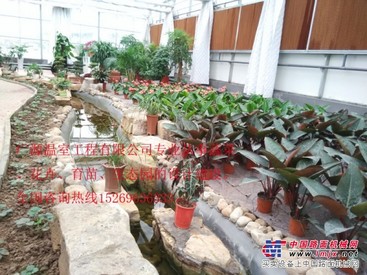 潍坊地区的生态园提供|生态园建设