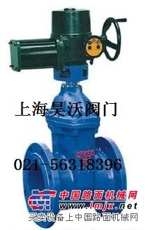 电动弹性座封闸阀