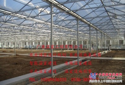 潍坊实惠的文洛型玻璃温室哪有卖——巢湖阳光板大棚