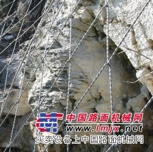 河北腾龙生产边坡防护网蜘蛛网厂家 质量上乘
