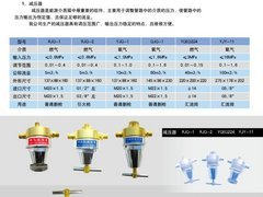 北京市预热氧减压器YJQ-1,燃气减压器RJQ-1,切割氧减压器QJQ-1火切机能源介质箱用预热氧减压器推荐