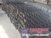 临沂滤袋笼骨架技术|笼骨架材质|笼骨架价格超群
