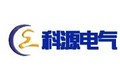 山东科源电气有限公司