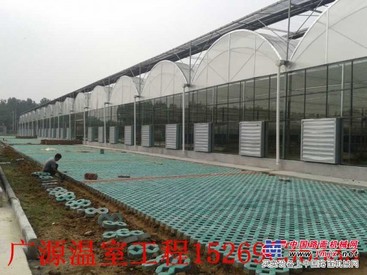 山东温室工程—圆拱型连栋温室