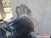 池州防水堵漏|池州防水堵漏厂家哪家好【双进】池州防水堵漏价格