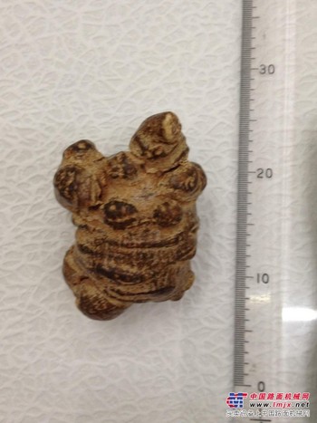 哪里有的生物粉碎
