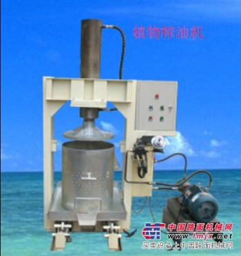 （植物榨油机）新型植物榨油机-青州动物油火炼设备