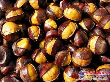 低价糖炒板栗老徐栗业供应
