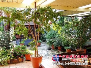 合肥别墅绿化【优质优价】合肥别墅绿化公司|绿动
