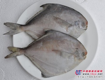 采购深海鱼市场价格情况