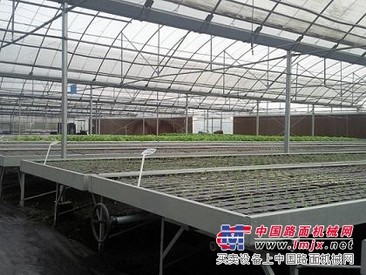 花卉温室苗床价格