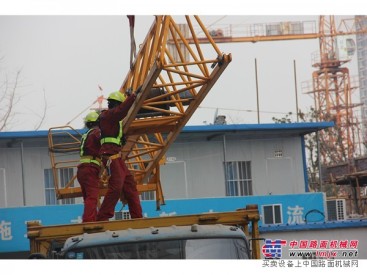 专业的 QTZ80塔吊出租 郑州 QTZ80塔吊出租