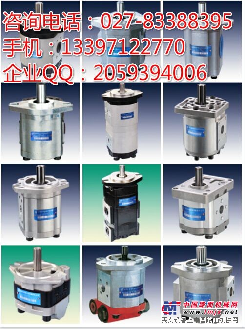 1AG1P01R 齿轮油泵