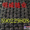 1200-24轮胎保护链工程车轮胎保护链张婷婷