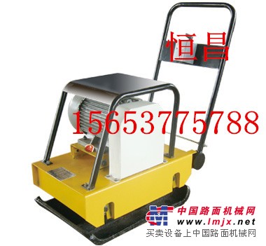 供应精品HZD200型电动平板夯