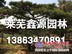 山东造型黑松价格