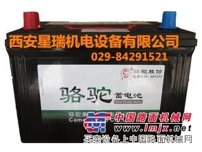 西安哪里有供应划算的骆驼蓄电池