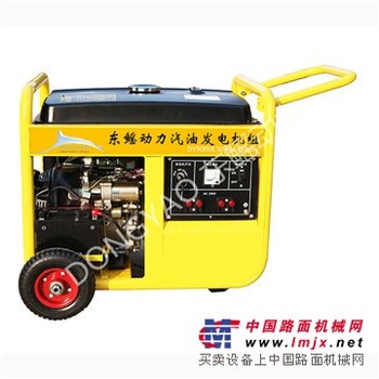供应东鳐8Kw电启动单相通用汽油发电机DY9000E 