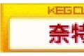 奈特电气集团有限公司