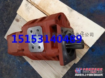 洛建压路机专用液压齿轮泵CBGJ3100|泉城牌液压泵