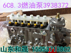 节日特供康明斯6C8.3燃油泵3938372