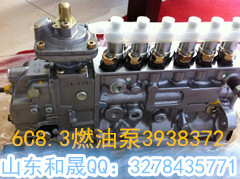 节日特供康明斯6C8.3燃油泵3938372