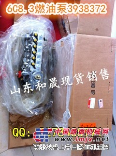 节日特供康明斯6C8.3燃油泵3938372