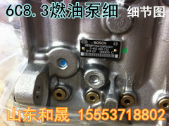 节日特供康明斯6C8.3燃油泵3938372