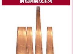 滄州專業(yè)的電解離子接地極價(jià)格_廠家直銷_價(jià)位合理的電解離子接地極價(jià)格