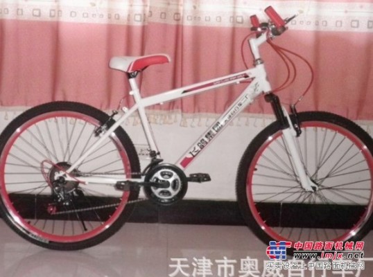 天津山地自行车价格超低 供应划算的山地自行车