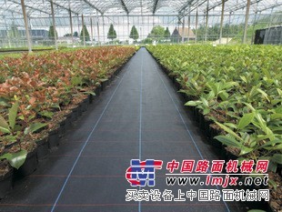 【青州鲁源】-------专业生产防草布的厂家