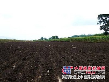 六安泥炭土厂家,六安泥炭土供应,六安泥炭土加工【壹顺】供应