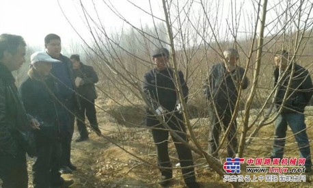 山东【沂蒙霜红桃树苗】基地直销，价格低质量好免费咨询技术问题
